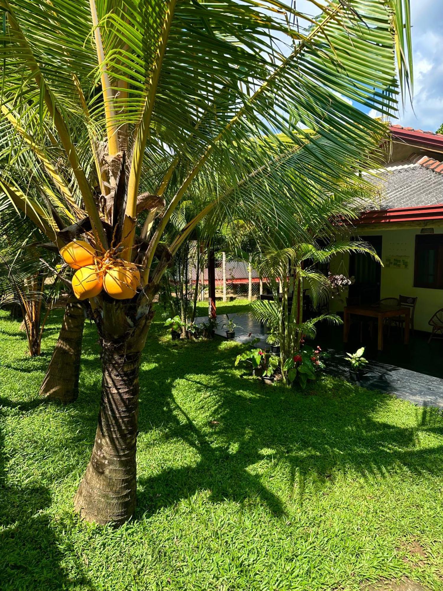 Jasmin Homestay Marakolliya Tangalle Bagian luar foto