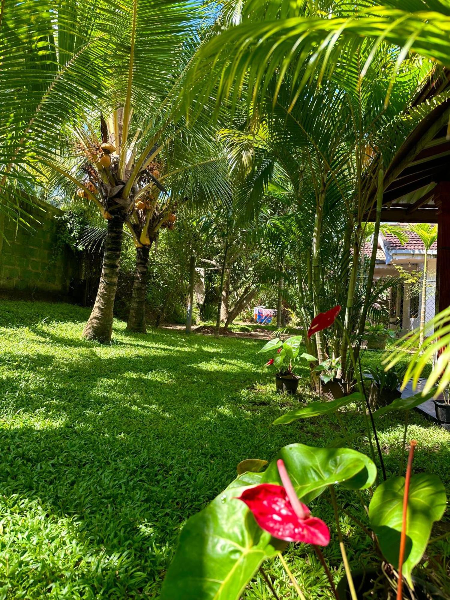 Jasmin Homestay Marakolliya Tangalle Bagian luar foto