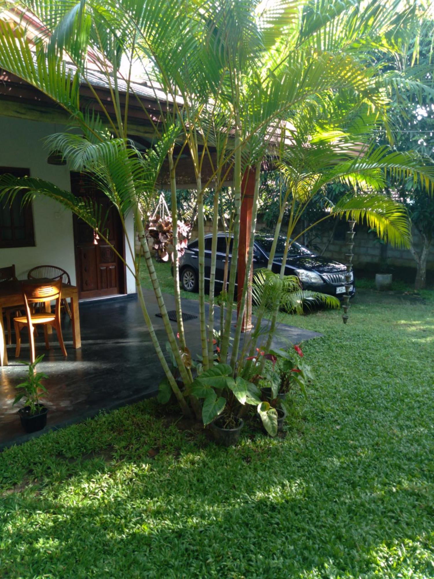 Jasmin Homestay Marakolliya Tangalle Bagian luar foto