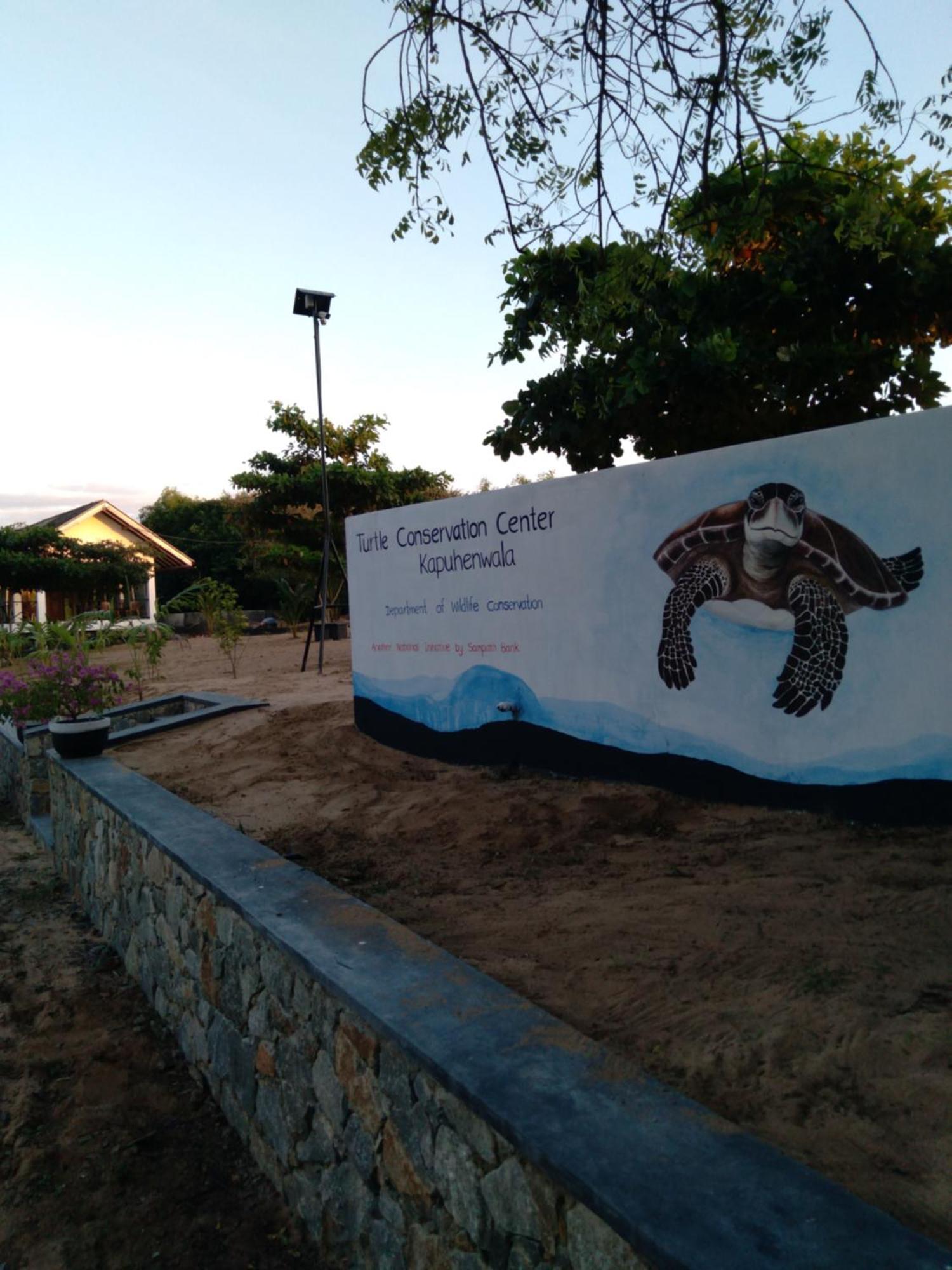 Jasmin Homestay Marakolliya Tangalle Bagian luar foto